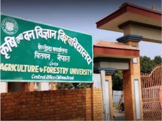 कृषि, बन बिज्ञान बिश्वबिद्धालयको परीक्षा तत्काल सञ्चालन गर्न विद्यार्थीको माग !