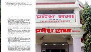 मधेस प्रदेशको नीति कार्यक्रम, कक्षा १२ पढ्ने छात्रालाइ ल्यापटप बितरण गर्ने।