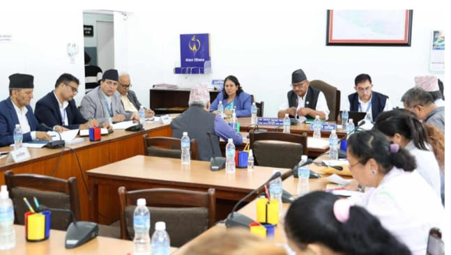 निजी विद्यालयले व्यापार गर्न मिल्दैन, शिक्षकले राजनीति गर्न हुँदैन: पुर्व उपकुलपति माथेमा