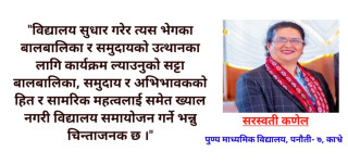 विद्यालय सुधारकाे विकल्प मर्ज कदापि हाेइन - कणेल ।