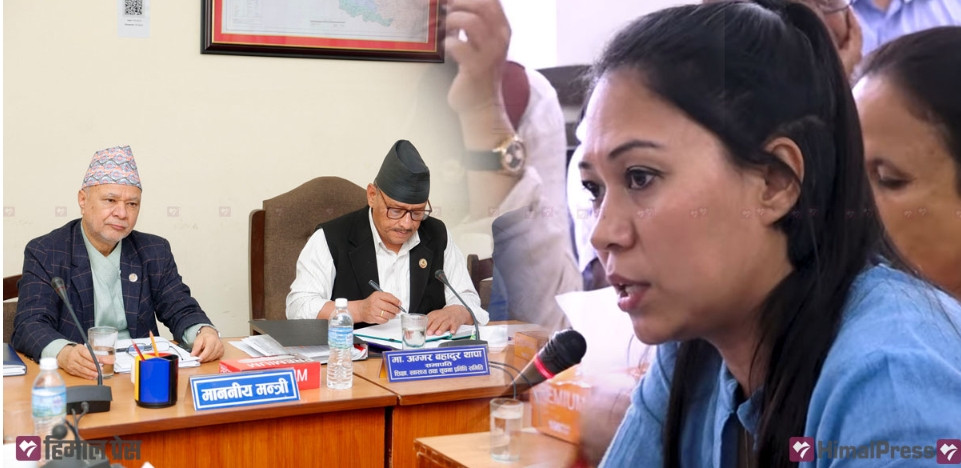 शिक्षा विधेयकबारे समितिमा सहमति जुटेन, पुन: उपसमितिमा छलफल हुने